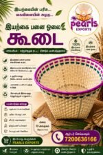 Handwoven Eco-Friendly Palm Leaf Baskets | பனை ஓலை கூடை